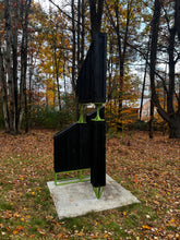 Load image into Gallery viewer, Structural Misinformation